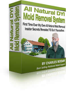 Mold Removal2
